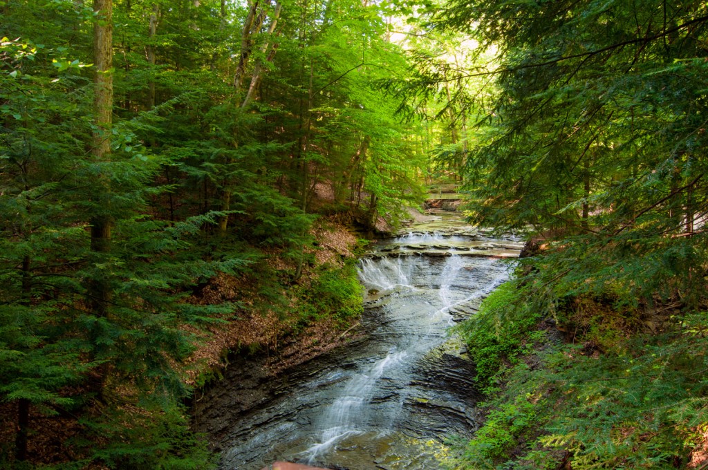 Cleveland Metro Parks